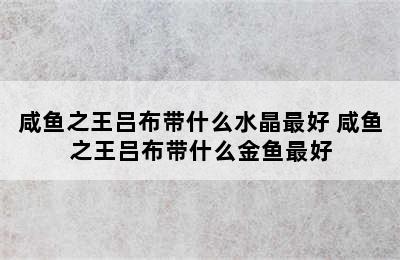 咸鱼之王吕布带什么水晶最好 咸鱼之王吕布带什么金鱼最好